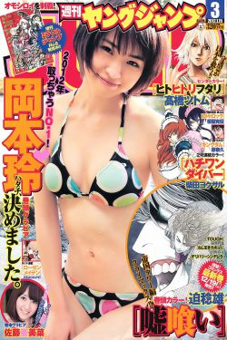 芭比之灰姑娘动画片